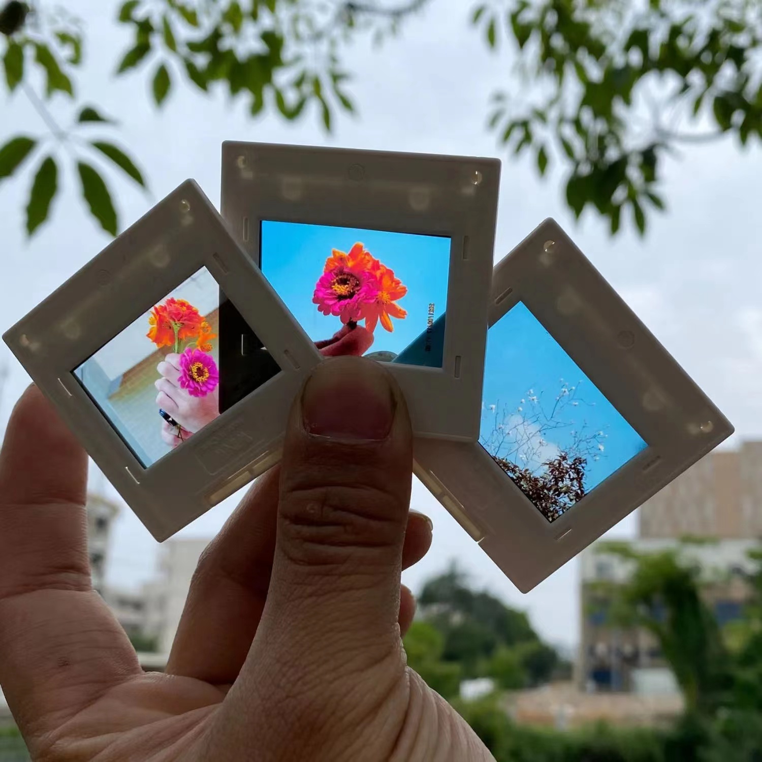 35mm 135 Mm Film Slide Mounts  - Film Camera 35Mm ulasan dan harga